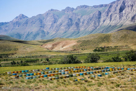 عکس/ زیبایی‌های خوانسار 