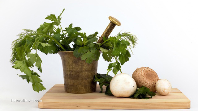 راه طبیعی و گیاهی برای مقابله با ویروس‌ها چیست؟