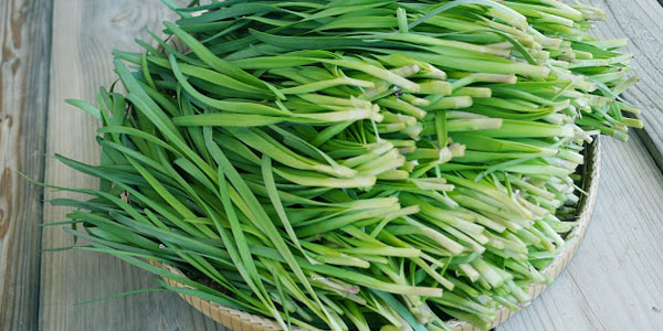 با خواص تره آشنا شوید