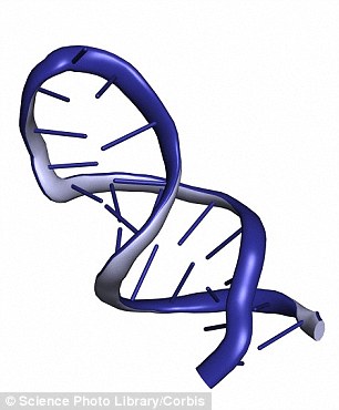 Professor Westwood has previously discovered that during this parasitic interaction, there is a transport of RNA (illustrated) between two species.