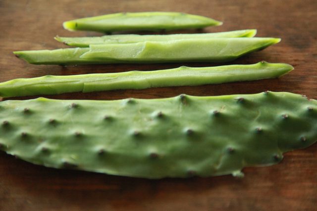 Benefits of Cactus Leaf in the Diet