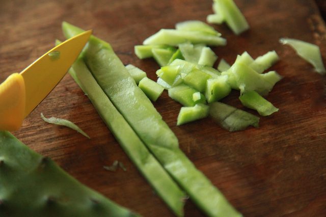 خواص برگ کاکتوس