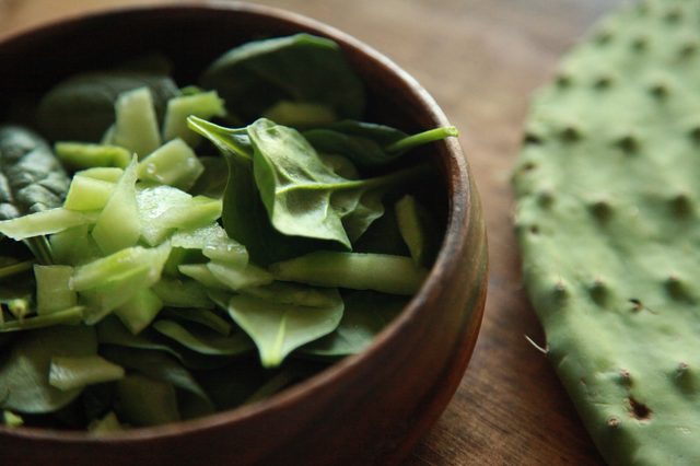 فواید غذایی کاکتوس