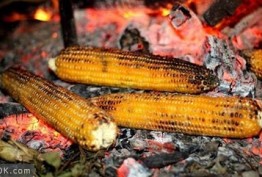 خواص ذرت پخته