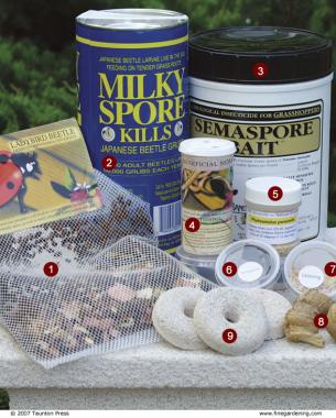 خریداری آنلاین حشرات مفید