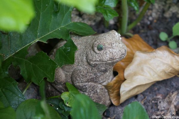 دشمنان لیسه و حلزون را ترغیب کنید