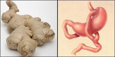 شباهت شگفت انگیز میوه ها به اعضای بدن