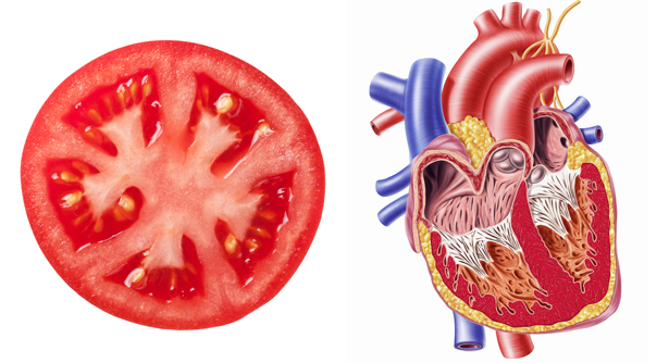 شباهت شگفت انگیز میوه ها به اعضای بدن