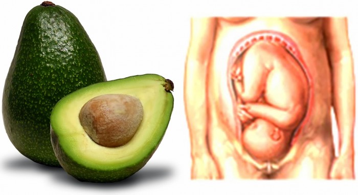 شباهت شگفت انگیز میوه ها به اعضای بدن