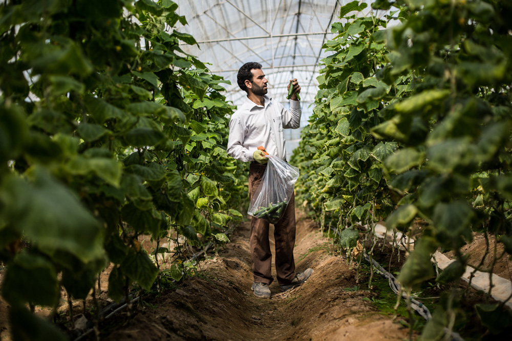 خاك از گل نازكتر