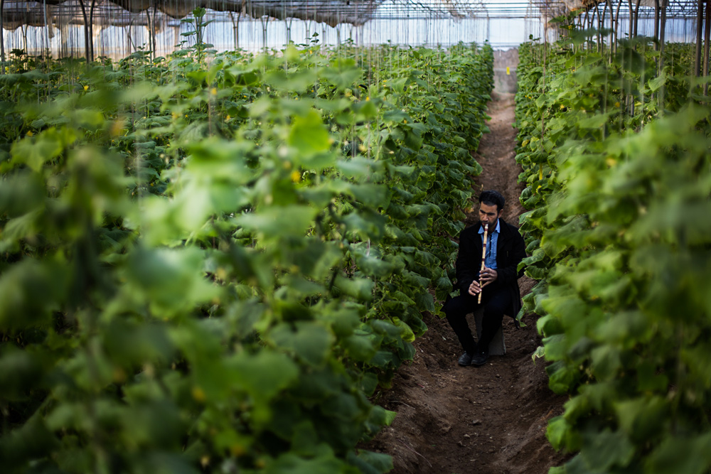 كيلينيك خيار سبزها!