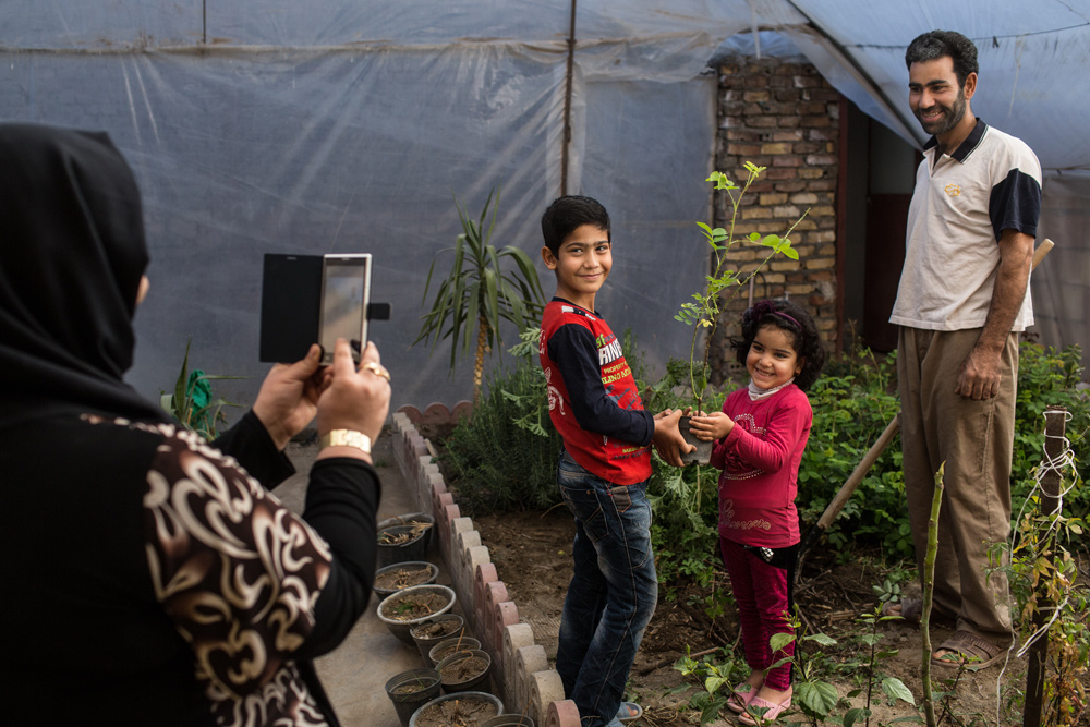 هزینه بالا و سوددهی بالا در کاشت زمستان