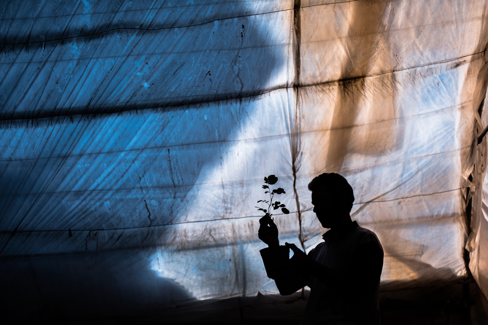 يك سيستم پر طمطراق!