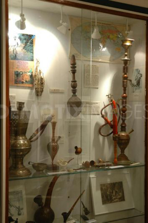 تاپ صبح////گیاهان مخدر در ویترین‌های موزه آمستردام