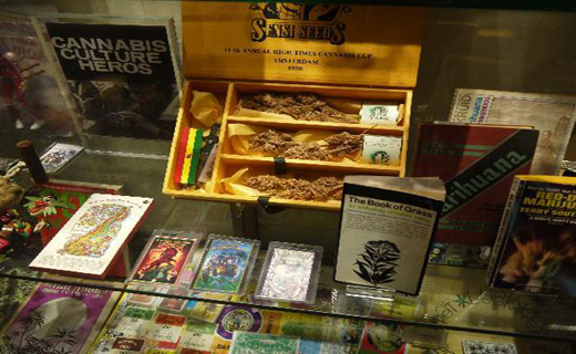 تاپ صبح////گیاهان مخدر در ویترین‌های موزه آمستردام