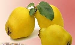 خبرگزاری فارس: مصرف «به» قلب و اعصاب را تقویت می‌کند/ خواص درمانی به‌دانه