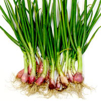 مهار سرطان با موسير