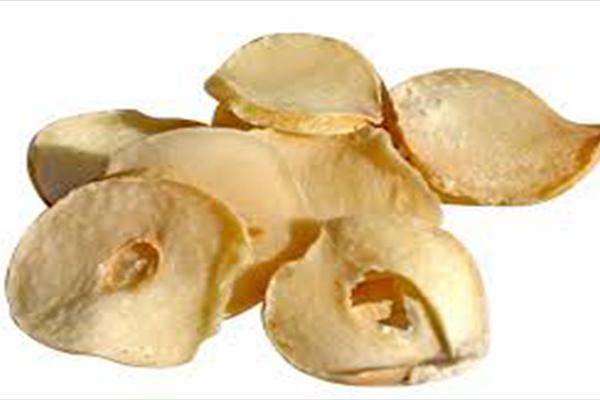 موسیر موسير این بیماری را فلج می کند