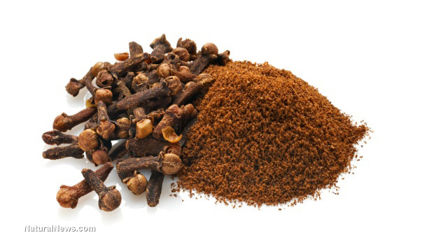 درمان گیاهی برای کشتن انگل‌های روده