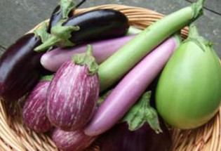 چربی این قسمت از بدن را با بادمجان آب کنید