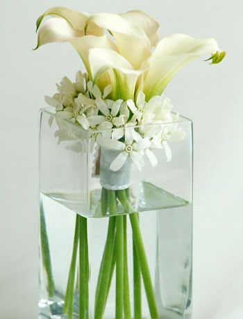 شما دوست دارید در خانه گلدان داشته باشید؟ شما دوست دارید در خانه گلدان داشته باشید؟