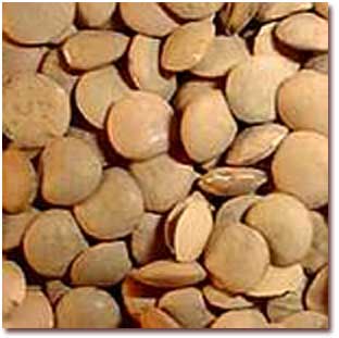 آشنايي با خواص عدس