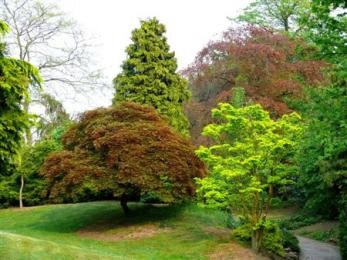 به دست خود درختی می نشانم 