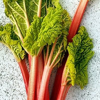 ريواس به سلامت مغز کمک مي کند