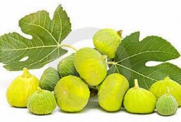 خواص شيره و برگ انجير