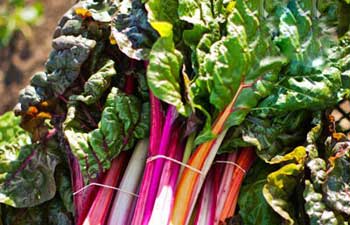 خواص پوست ميوه, ضدسرطان