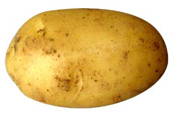 خواص پوست ميوه, ضدسرطان