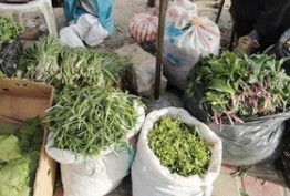 گیاهان بهاری را خام بخورید